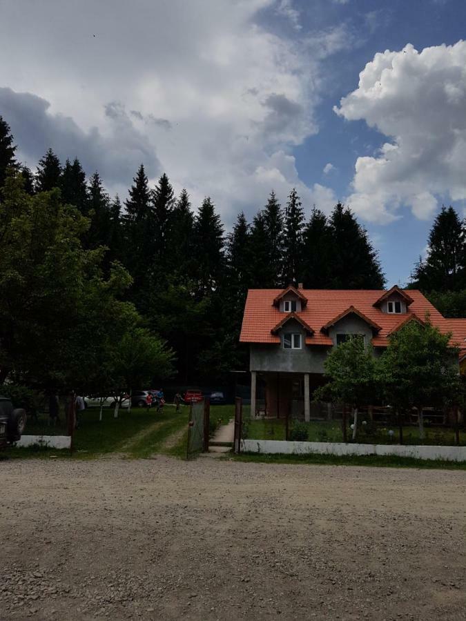 Hotel Cabana Merisor Poiana Mărului Zewnętrze zdjęcie