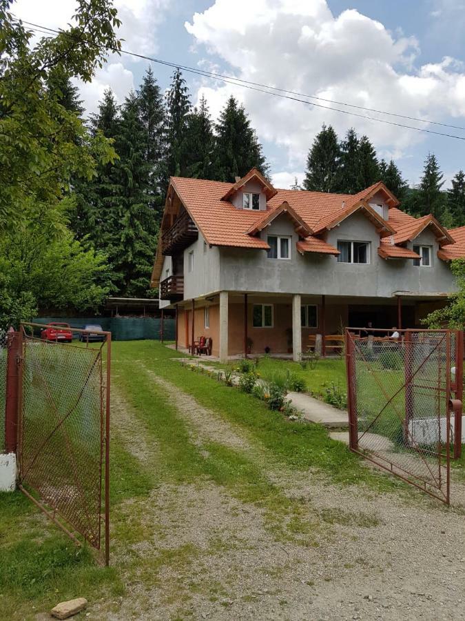 Hotel Cabana Merisor Poiana Mărului Zewnętrze zdjęcie
